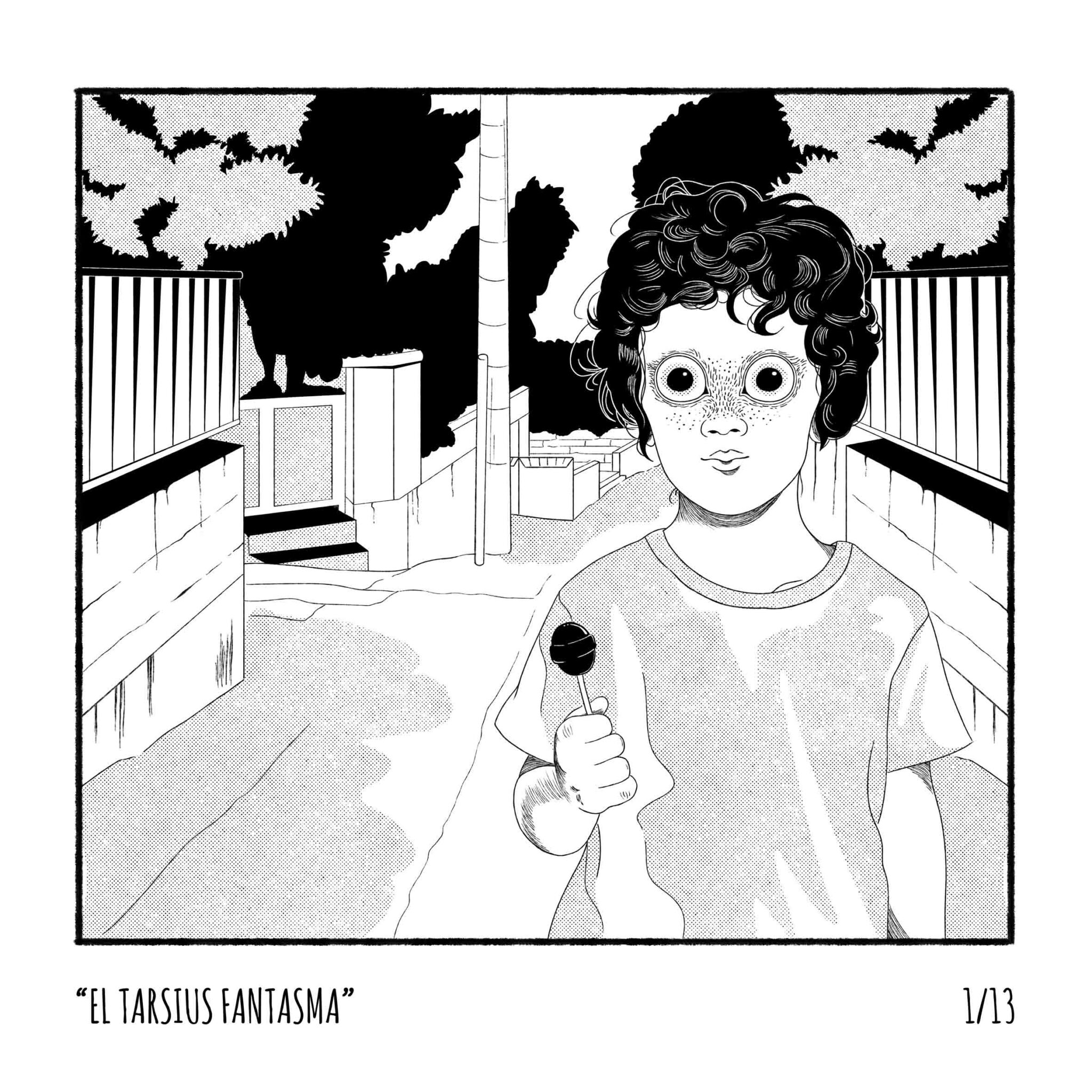 animales-nocturnos1