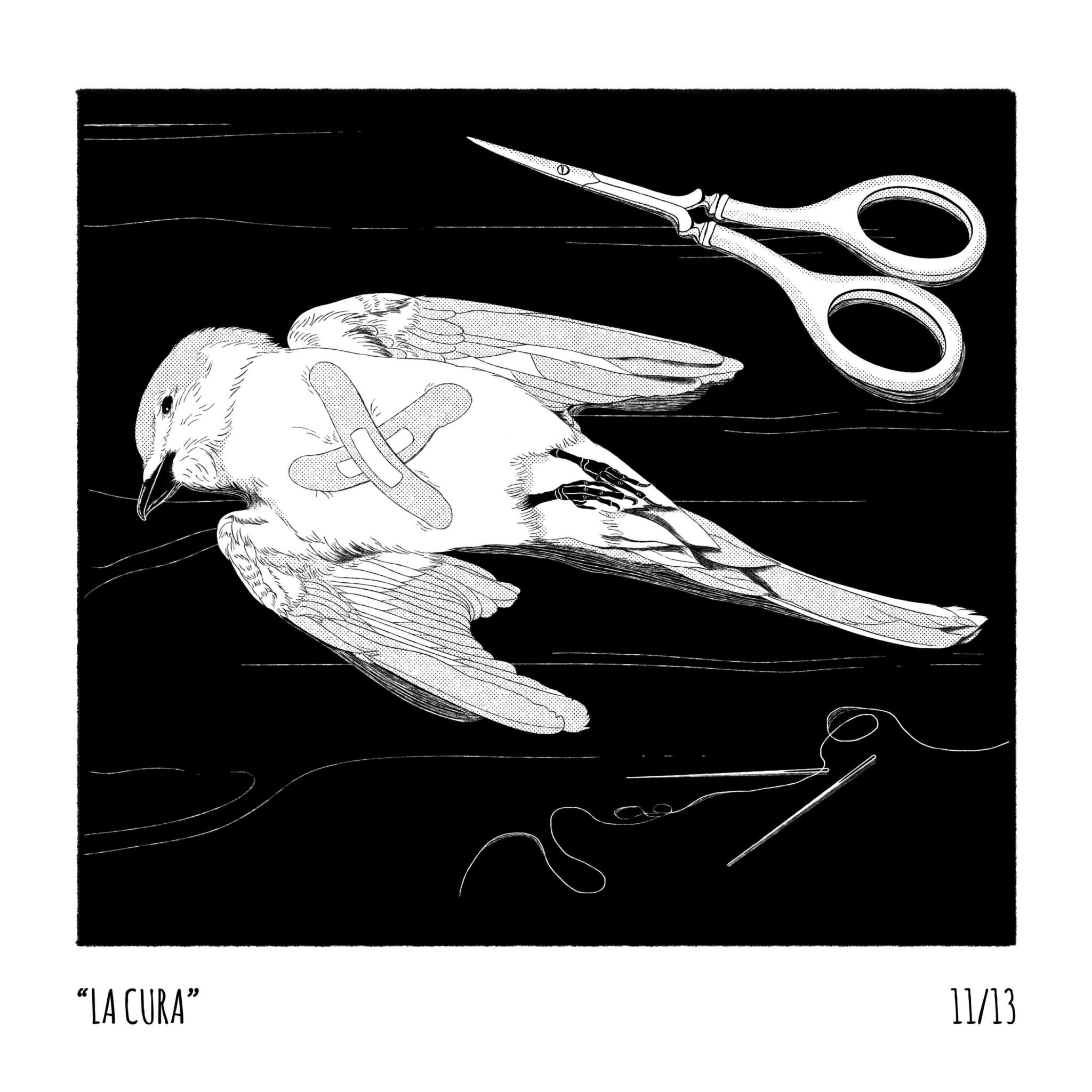 animales-nocturnos11