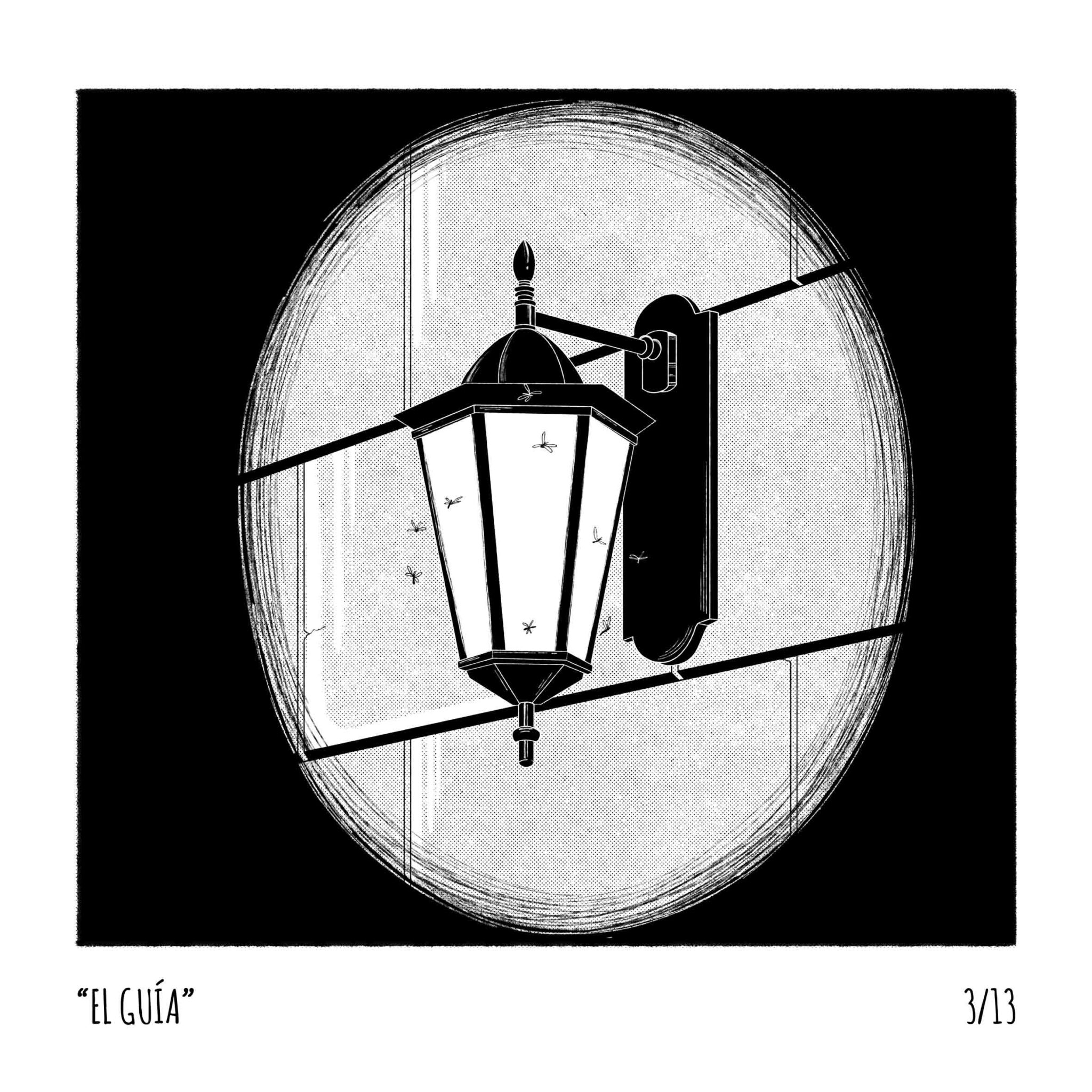 animales-nocturnos3