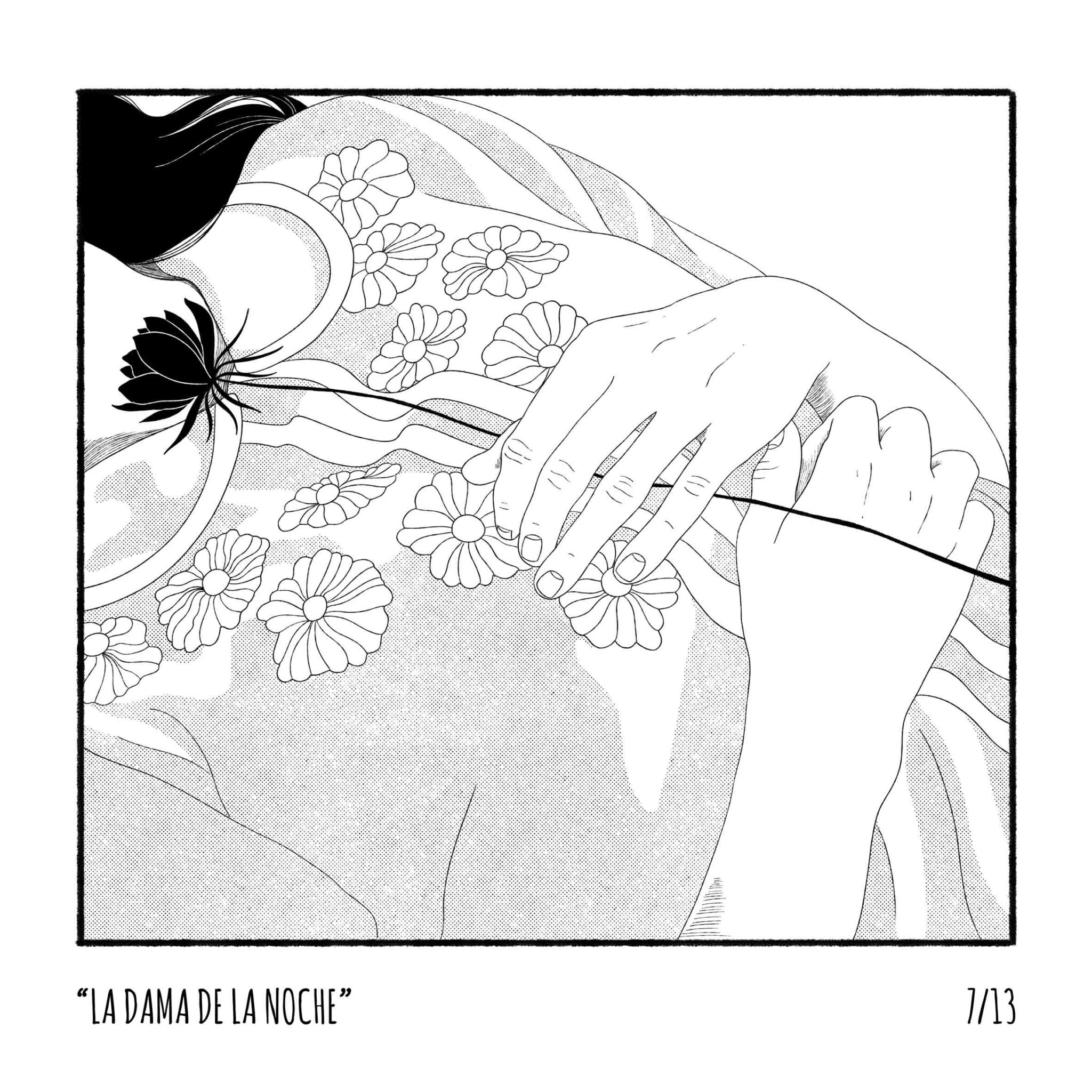 animales-nocturnos7