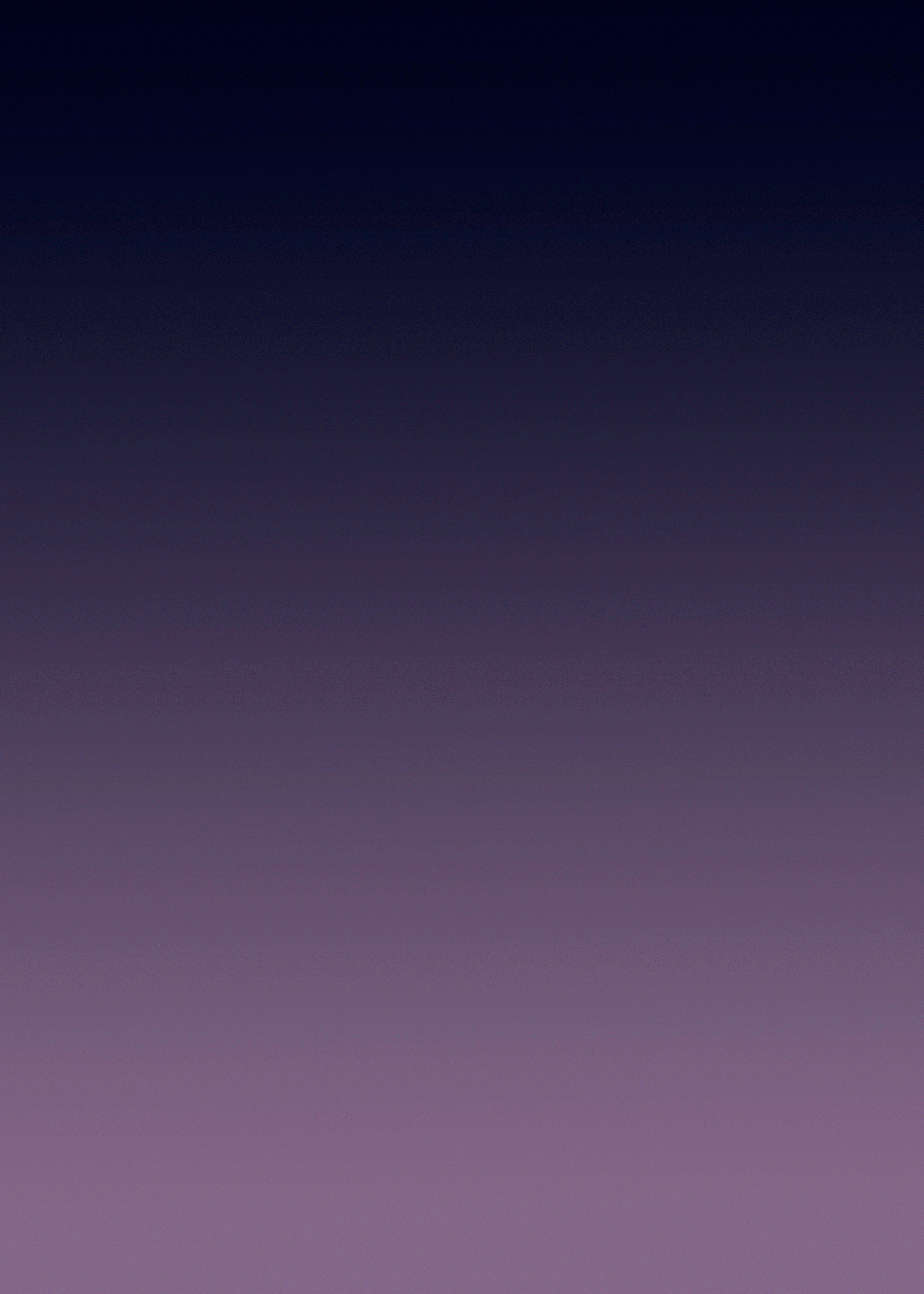 SPIDER-ANIMACION_LOW